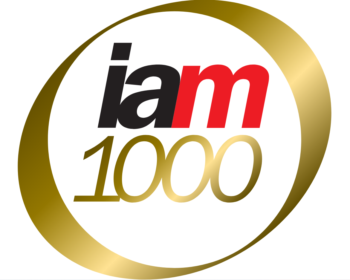 IAM Patent 1000 Recognition